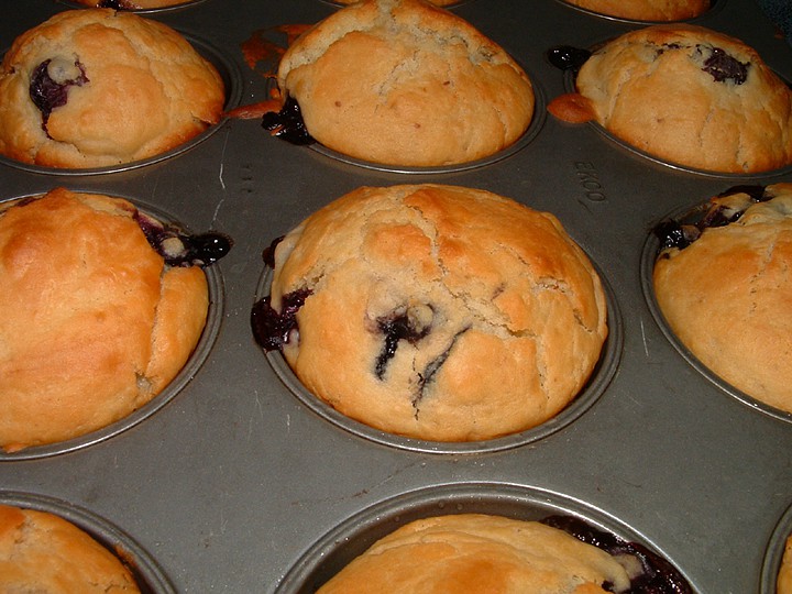 Borůvkové muffiny_5ffdaa3c3470d.jpeg