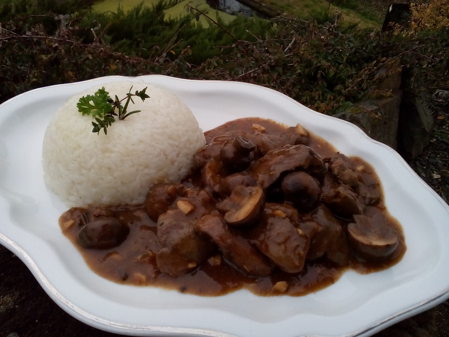 Bylinková játrová omáčka se žampiony_5ff7204968ba6.jpeg