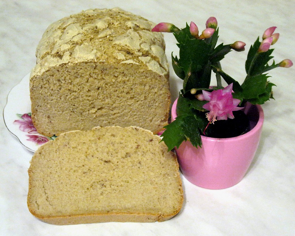 Cibulový chléb s jablečnou vlákninou bez lepku, mléka a vajec