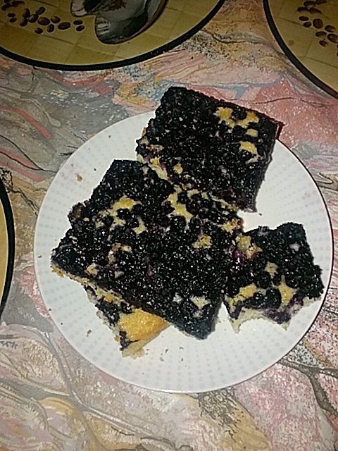 Cuketovo-borůvkový koláč_5ff793a6cb563.jpeg