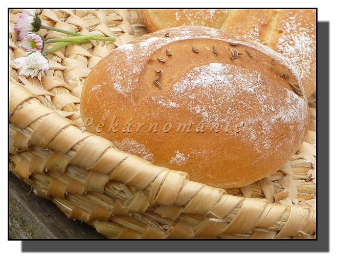 Dalamánky jako pírko