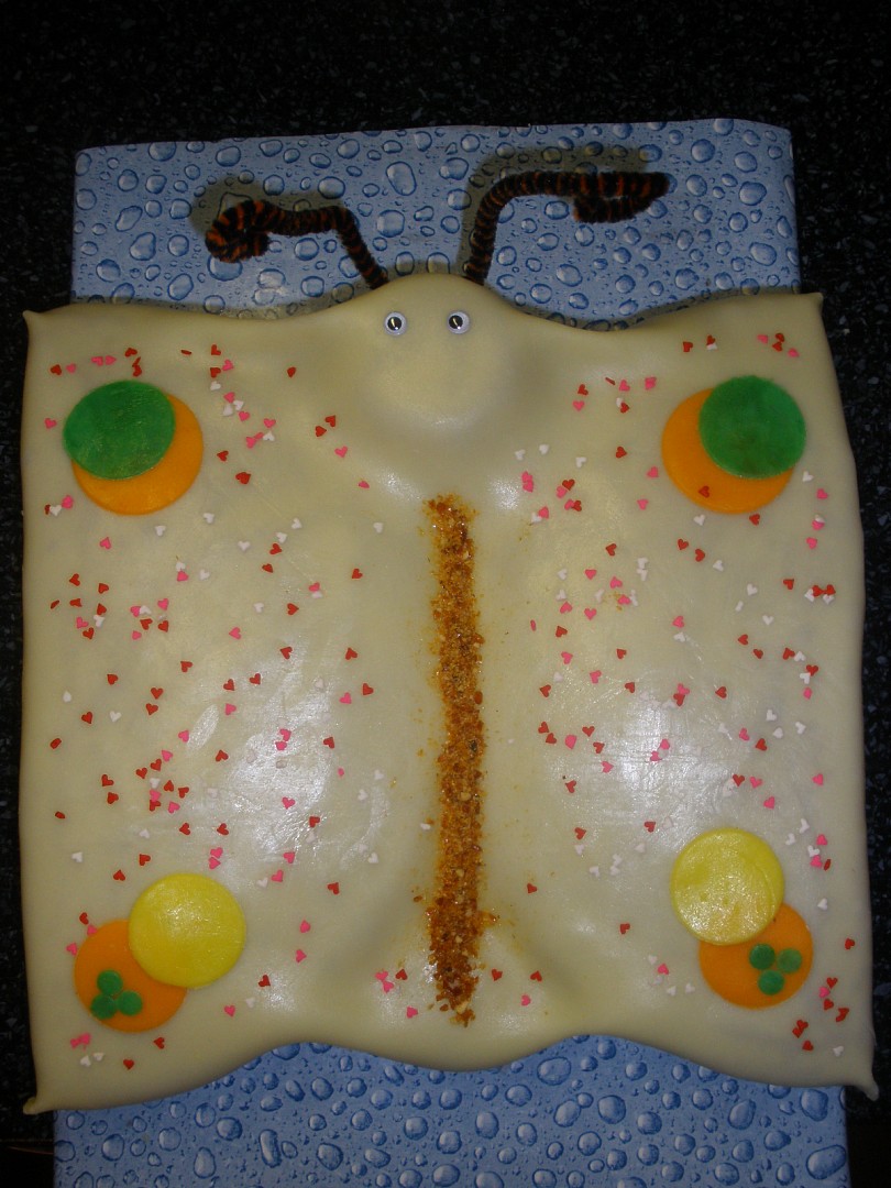 Dort motýl_5ffafa283dc3b.jpeg