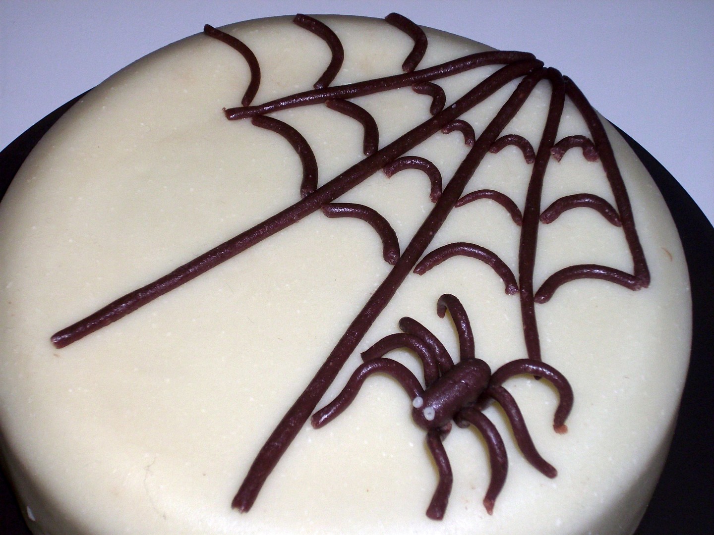 Dort pro arachnofobika