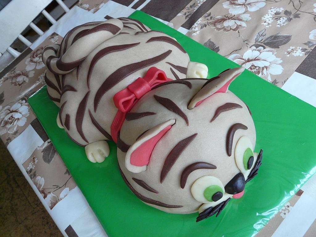 Dort Pruhovaná kočka s fotopostupem