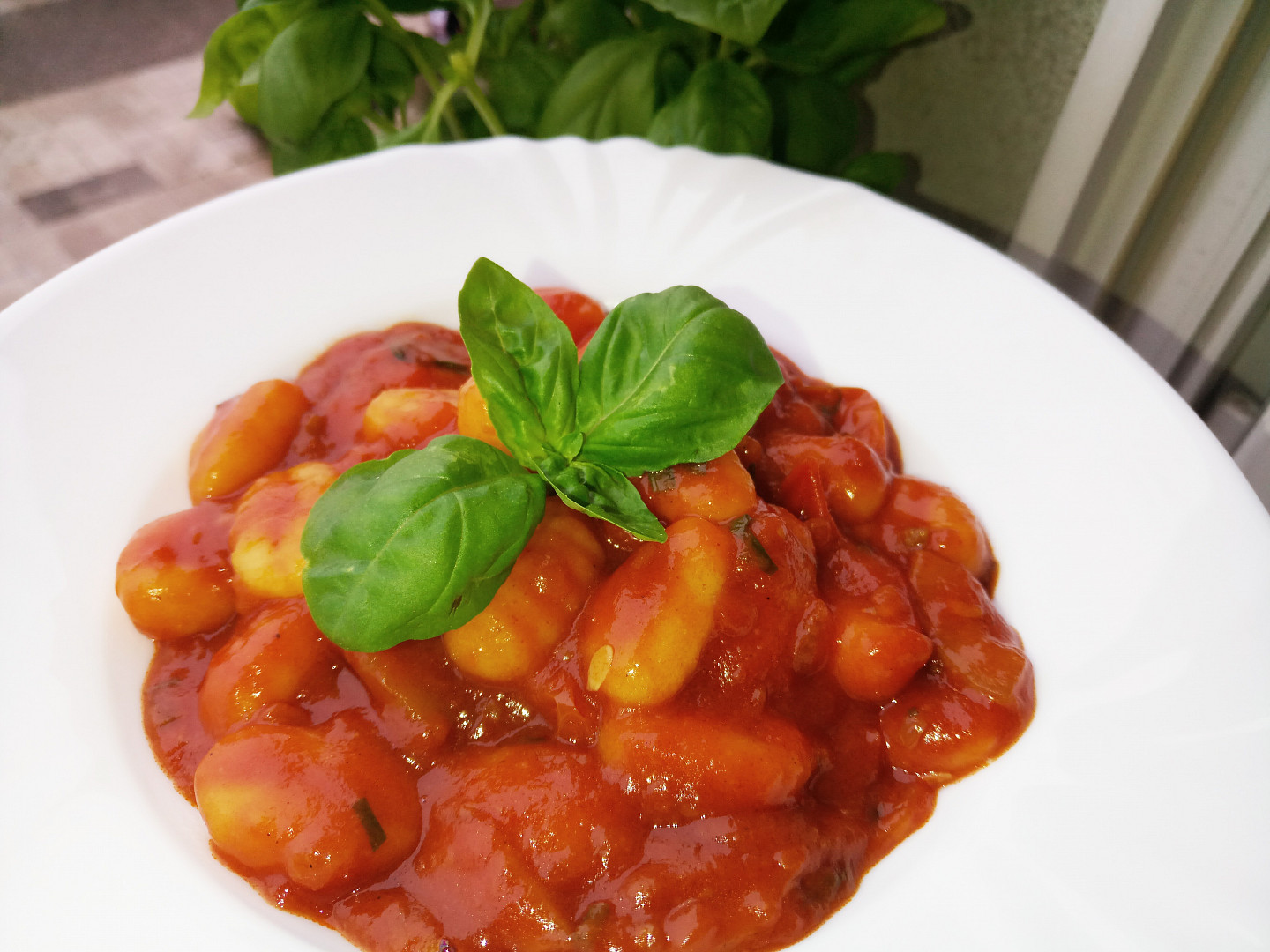 Gnocchi v rajčatové omáčce s cuketou a česnekem