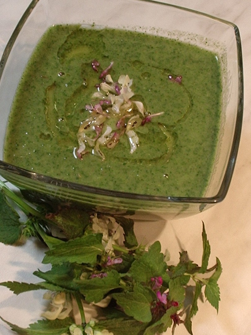 Hluchavková polévka_5ffa004139971.jpeg