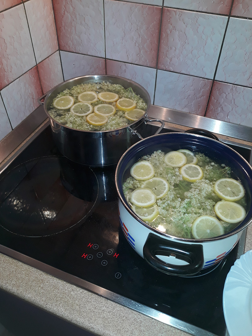 Kašička neboli limonáda z květů černého bezu_5ff6baf02e46d.jpeg