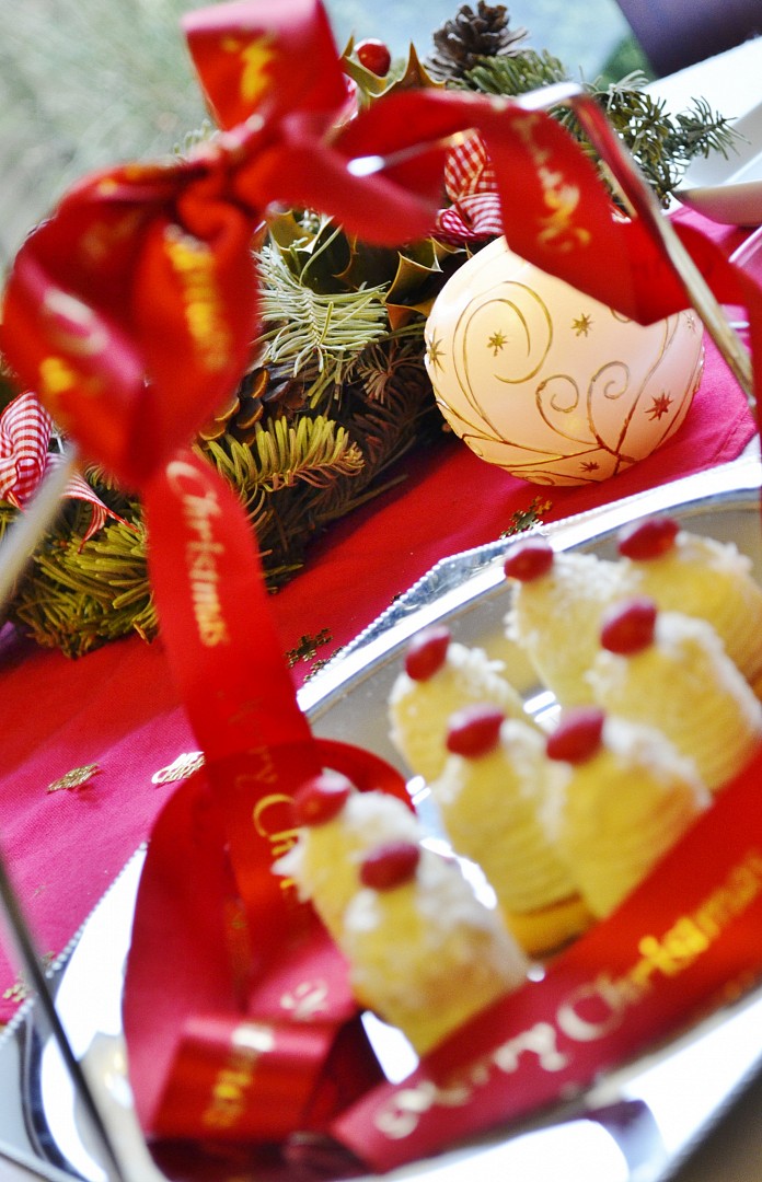 Kokosove uly ve vanocnim satu