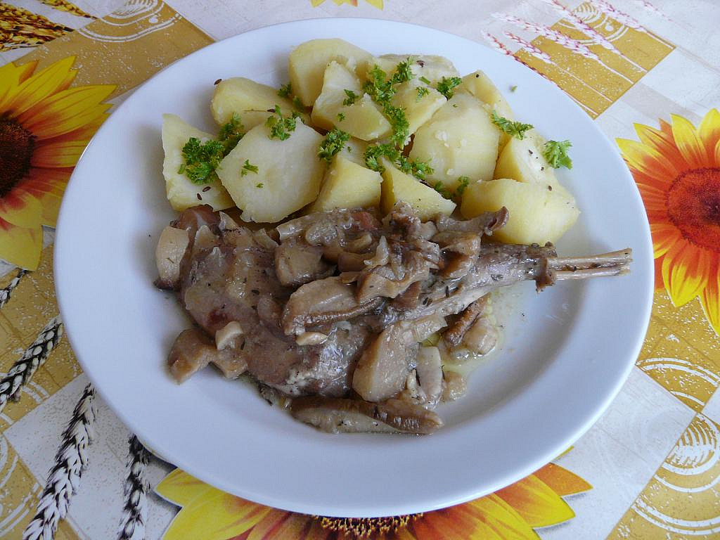 Králík na pivě_5ff70901be786.jpeg