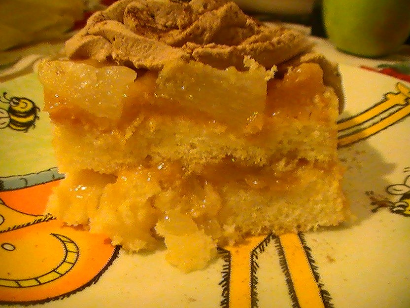 Křehký skvělý desertík_5ffab4fc62069.jpeg