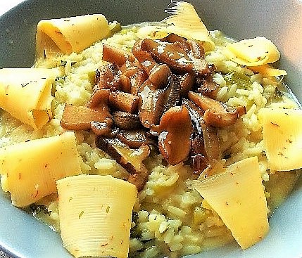 Krémové rizoto s hříbky_5ff74c09691c4.jpeg