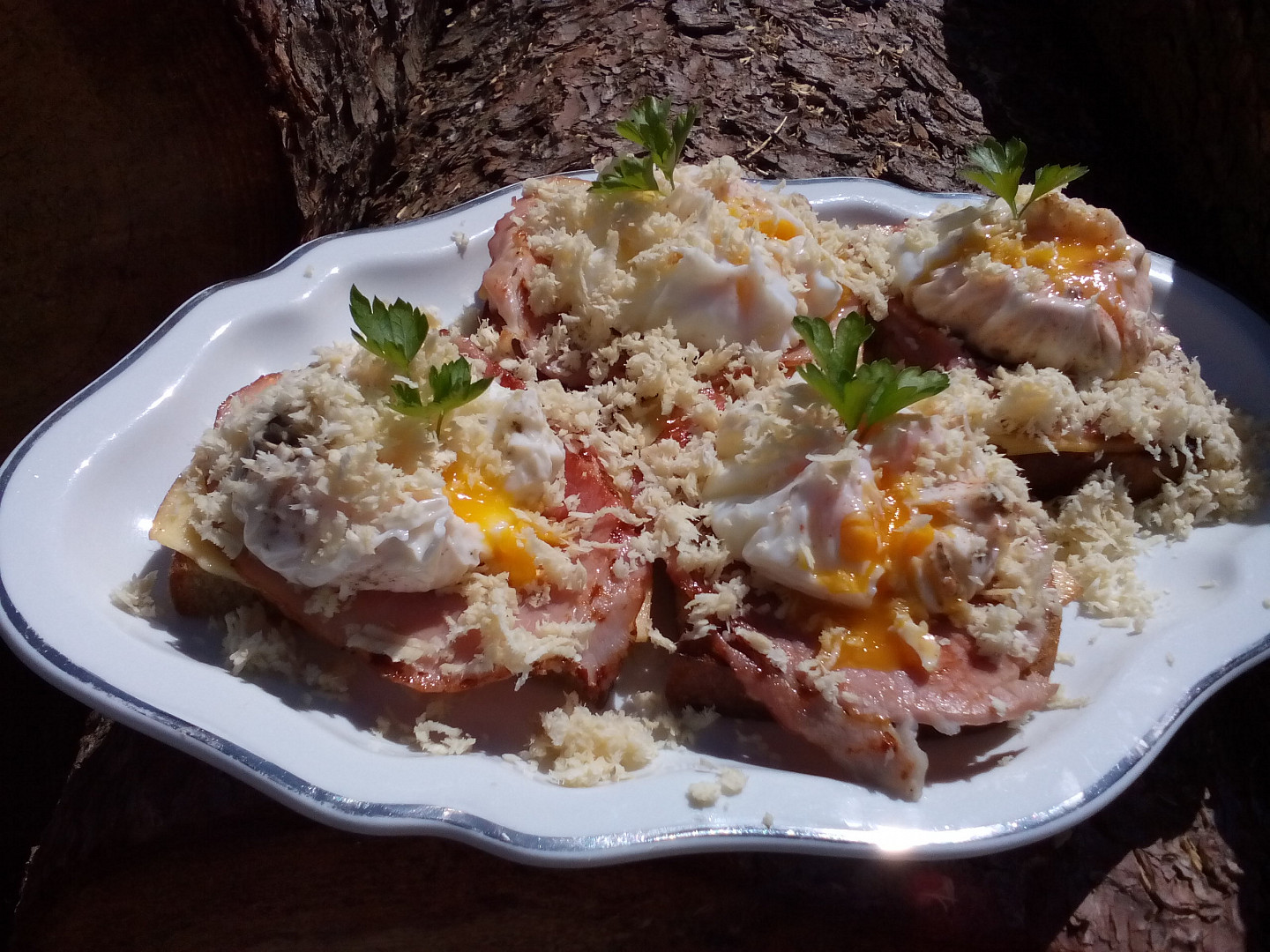 Křenové topinky s vejcem_5ff7002151ad9.jpeg