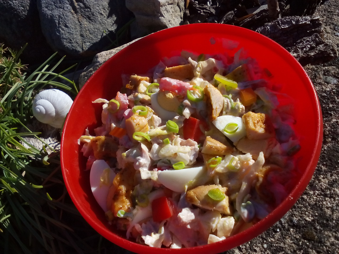 Kuřecí salát se zeleninou a vejci_5ff6e646f23f7.jpeg