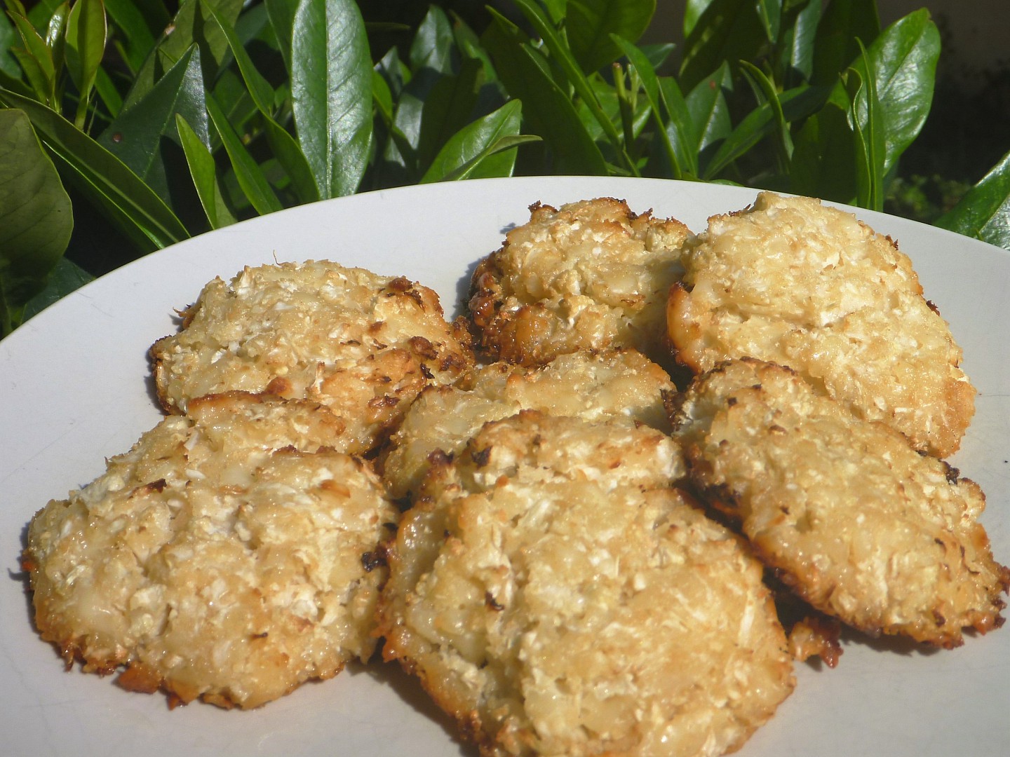 Květákovo sýrové placičky z trouby_5ff789e46fc00.jpeg