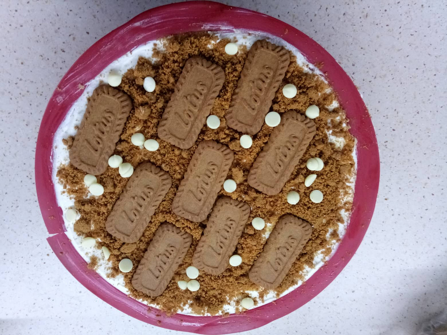 Lotus cheesecake_5ff6c4bb291a7.jpeg