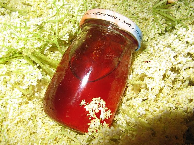 Med ( sirup ) z květů černého bezu_5ffa0524688d4.jpeg