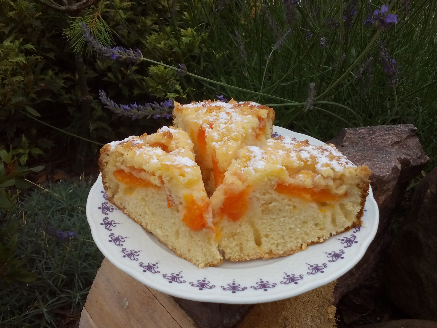 Meruňkový koláč z remosky_5ff6fbe84e7fd.jpeg