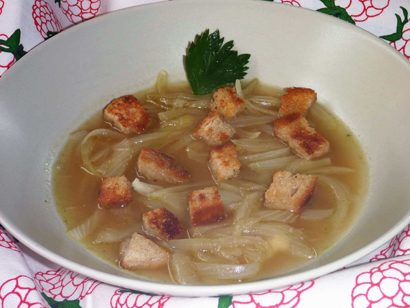 Miso cibulačka_5ff7897a7f62a.jpeg