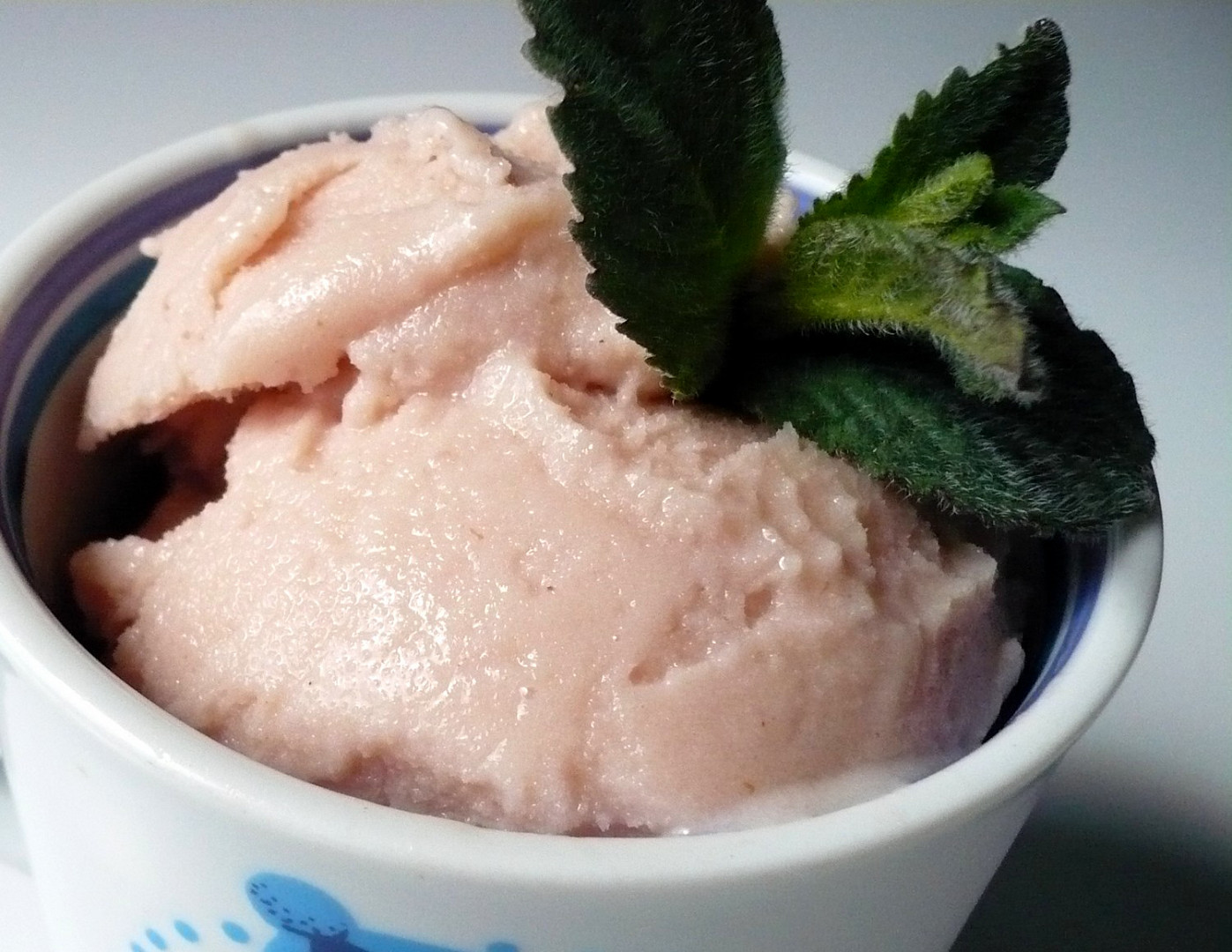 Mléčná zmrzlina s ovocnou příchutí_5ff68922ea06b.jpeg