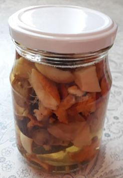 Nakládané houby v octě_5ff67a6f7a0da.jpeg