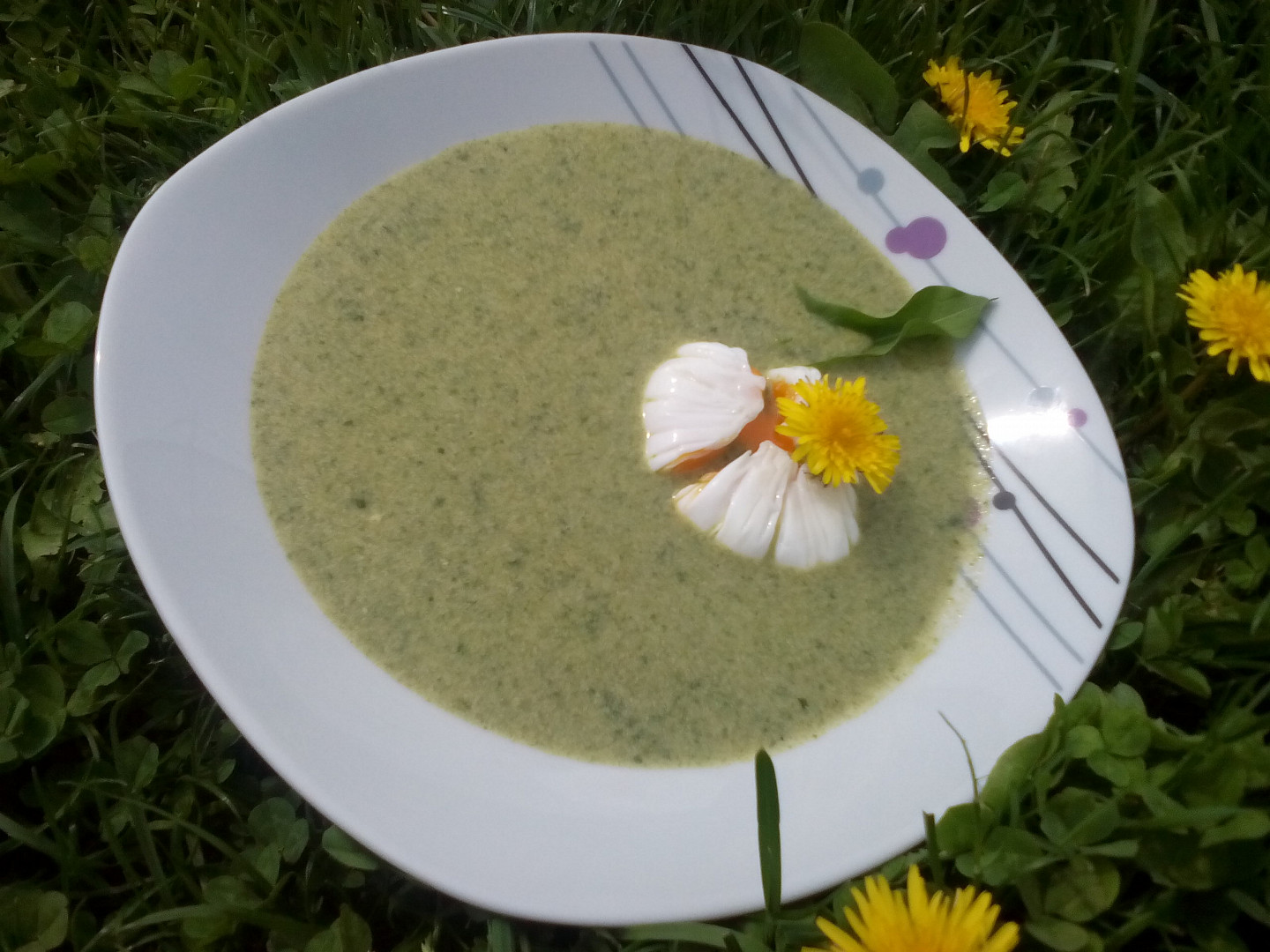 Pampelišková polévka podle Lidušky_5ff70461522f8.jpeg