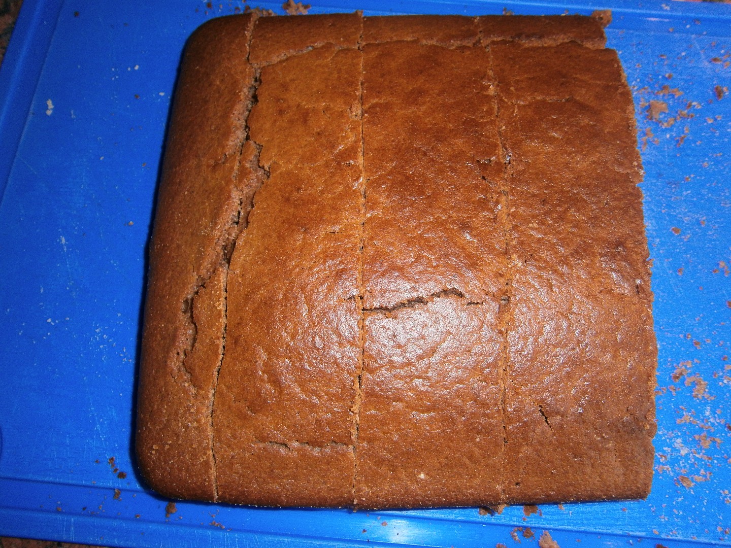 Perník (z hrníčků)_5ff820a2c429f.jpeg