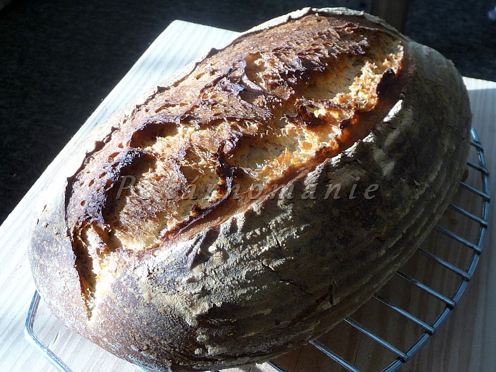 Pšenično-žitný chleba s černým pivem_5ff8235732611.jpeg