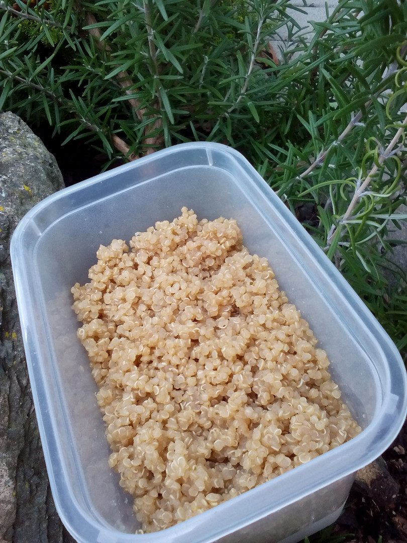 Quinoa – jako příloha nebo zavářka do polévek_5ff7203fa0d11.jpeg