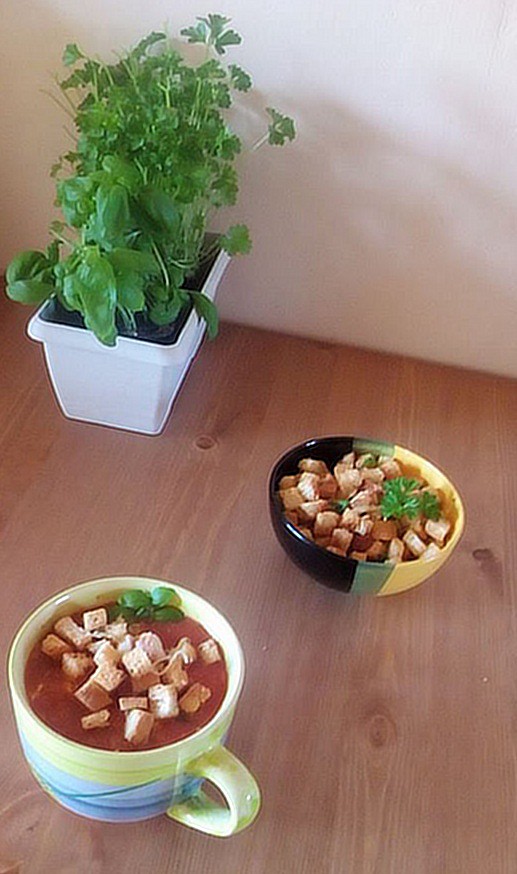 Rajčatová polévka ,,minestrone“ s krutony_5ff75f93a5378.jpeg