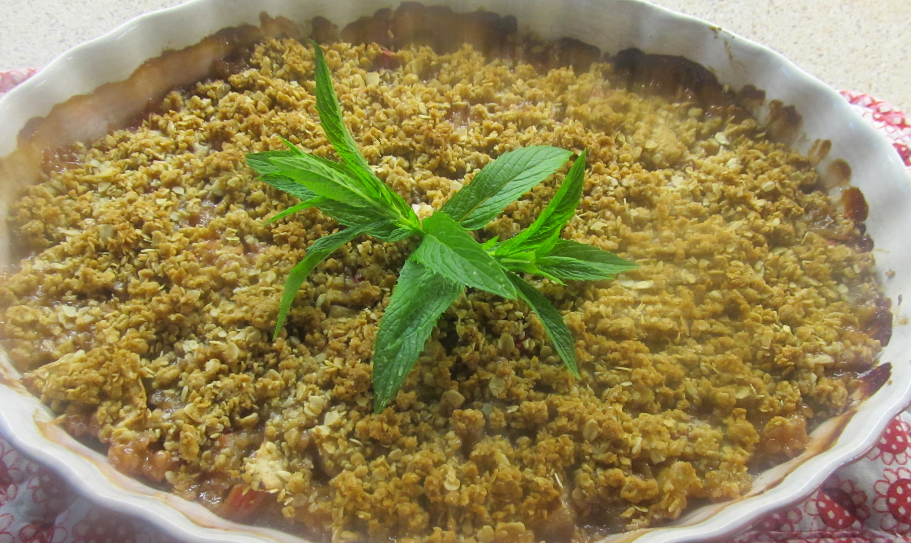 Rebarborovo-jablečný crisp (crumble)_5ff6fdd59e700.jpeg