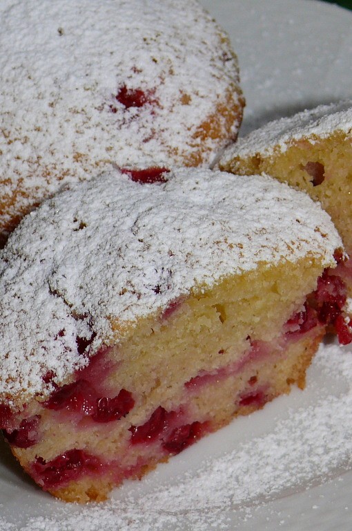 Rybízové muffiny_5ffd84b4ded8b.jpeg