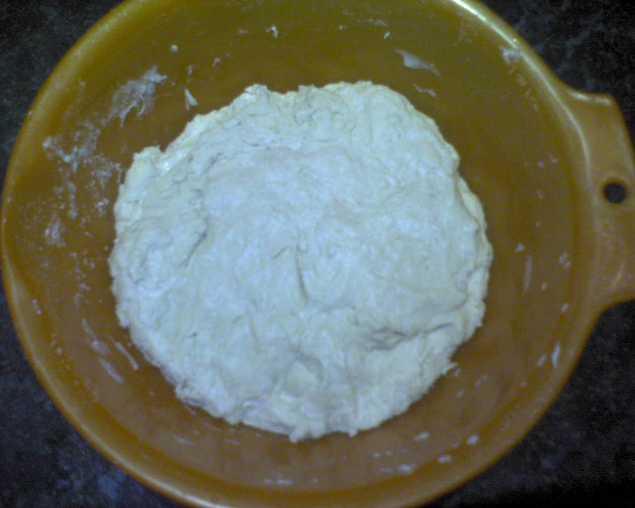 Seitan pro Lucasinku – domácí výroba_5ffc2f1325a26.jpeg