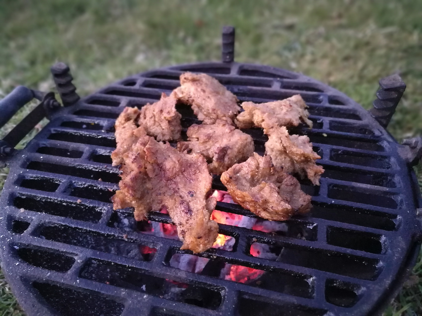 Seitan, tužší verze (rostlinné maso z pšeničné bílkoviny)_5ff68a38aeeac.jpeg