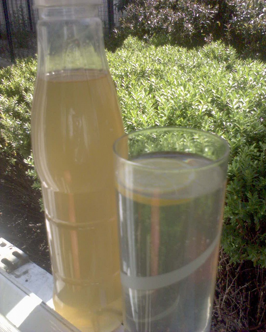 Sirup z květů černého bezu_5ffbd2cf1ae9c.jpeg