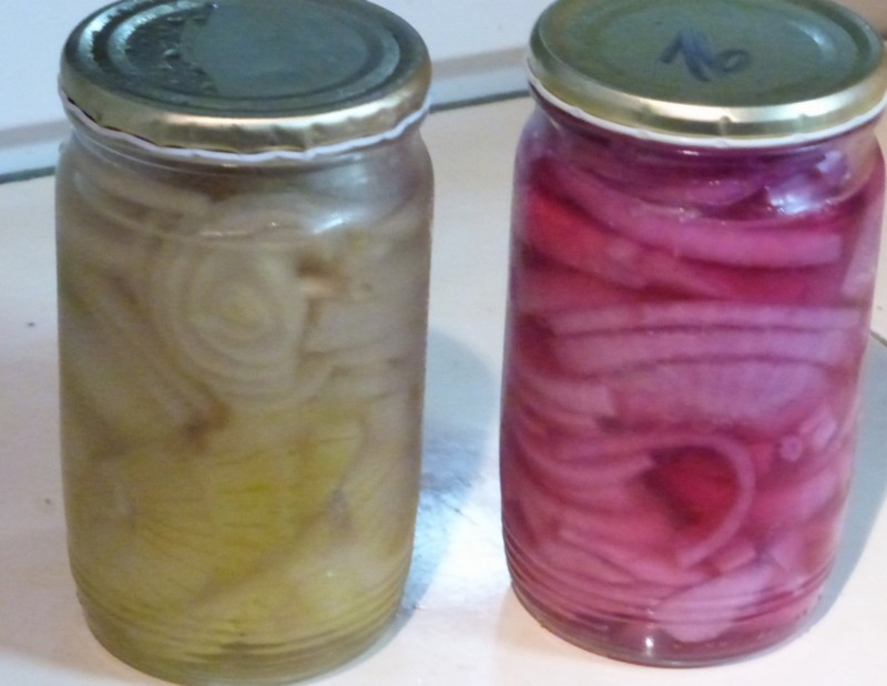 Sladkokyselá cibule (cibulka)_5ff77986d65d0.jpeg