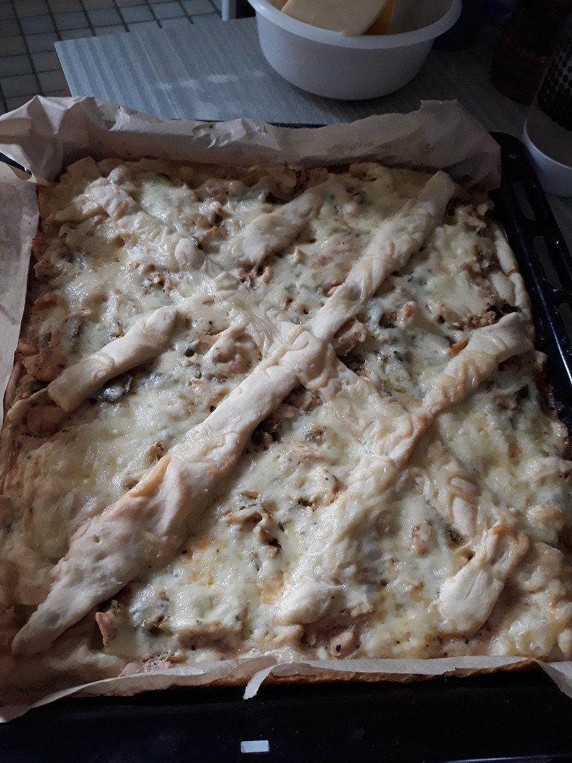 Slaný koláč s kuřecím masem_5ff6836d16ae8.jpeg