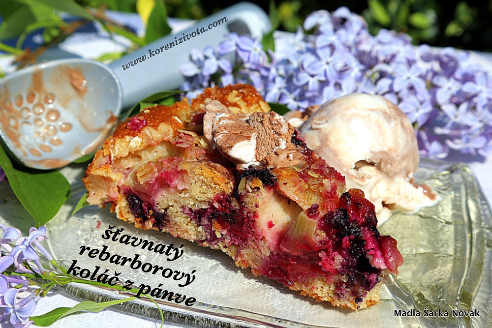 Šťavnatý rebarborový koláč ze špaldy a jogurtu_5ff7a1cbef4d0.jpeg