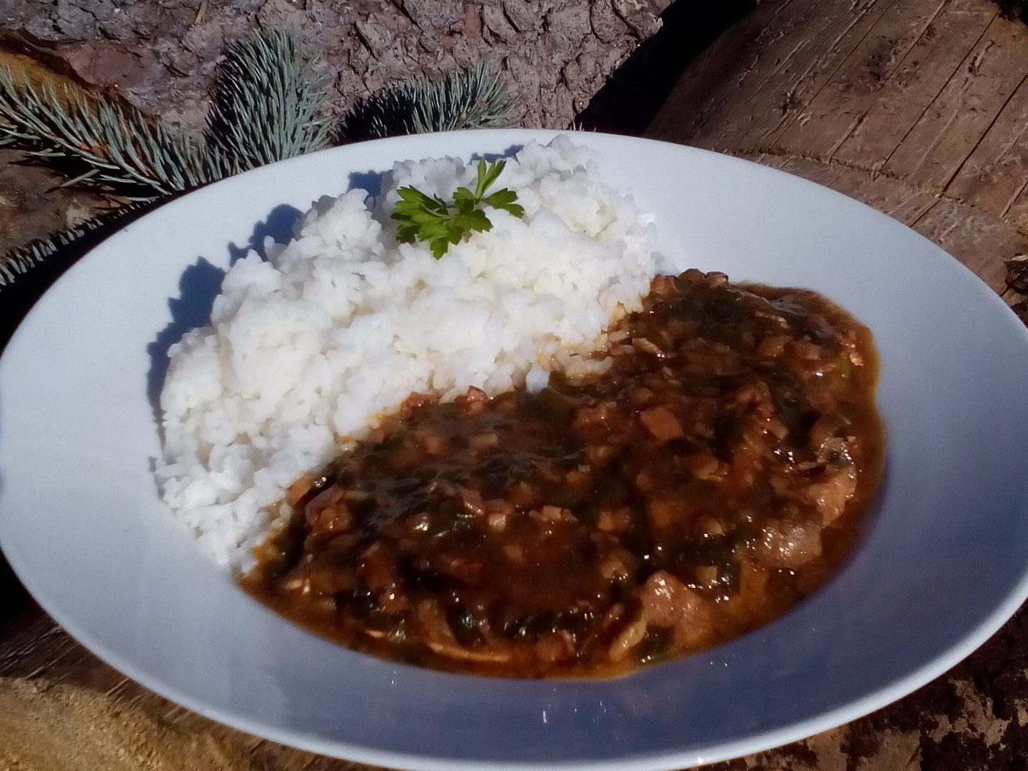 Vepřové na slanině s medvědím česnekem_5ff68e0ba3813.jpeg