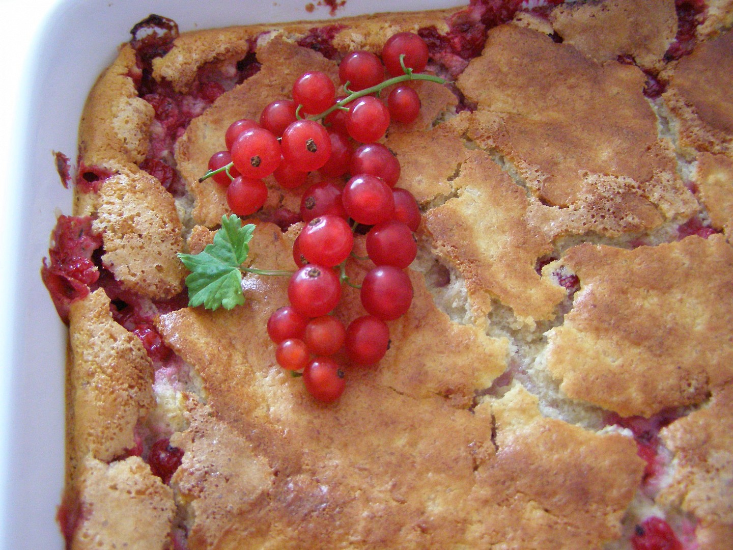 Vločkový nákyp s rybízem