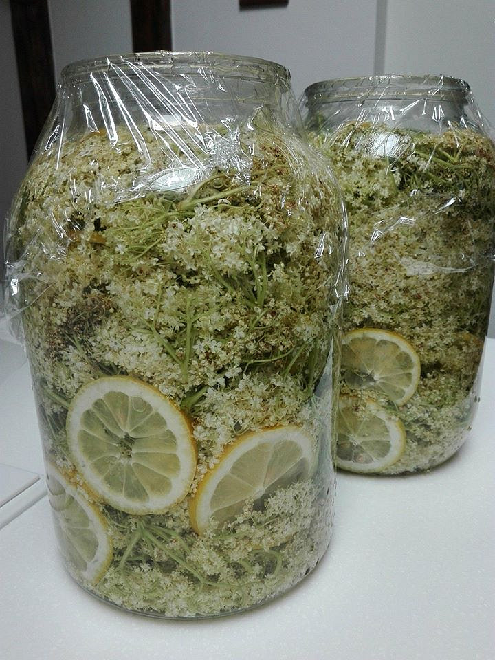 Voňavý bezinkový sirup_5ff6fe6255dd9.jpeg