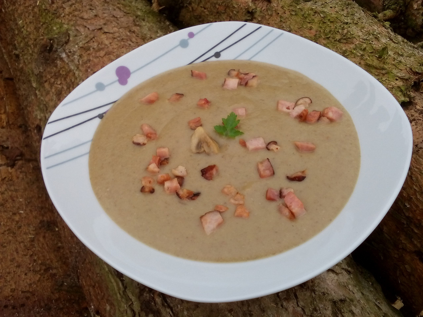 Žampionová krémová polévka se slaninou_5ff6e4165f1b2.jpeg