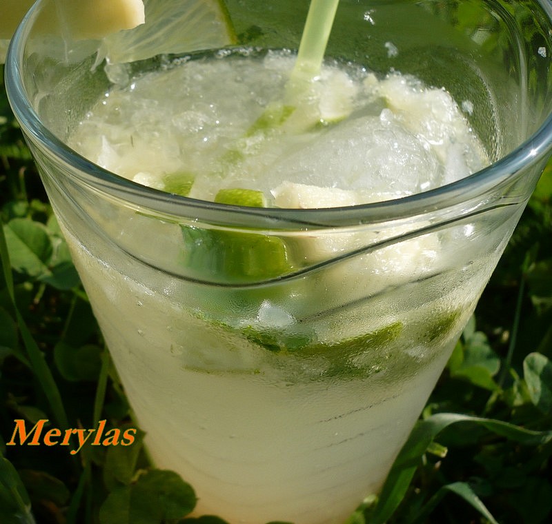Zázvorové mojito_5ffbd81ae8102.jpeg