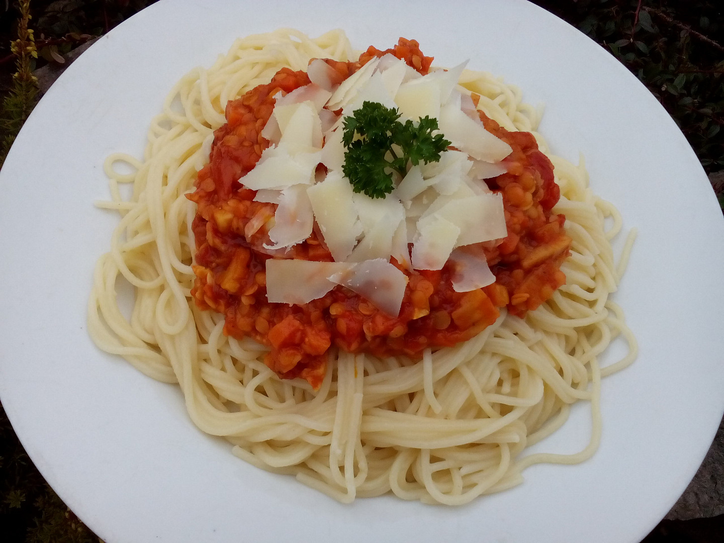 Zeleninové ragú s červenou čočkou à la bolognese_5ff7229ca3039.jpeg