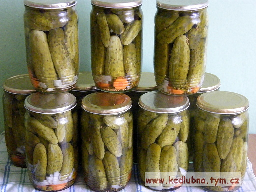 ZNOJEMSKÉ OKURKY